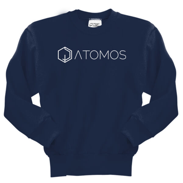 Printed Atomos - Youth Core Fleece Crewneck Sweatshirt Thumbnail