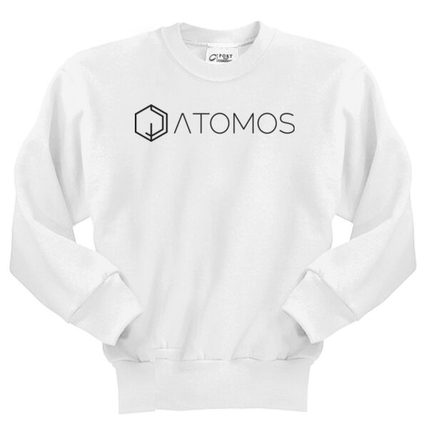 Printed Atomos - Youth Core Fleece Crewneck Sweatshirt Thumbnail