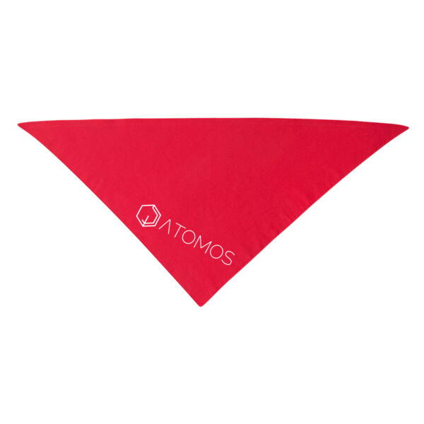 Printed Atomos - USA-Made Doggie Bandana Thumbnail