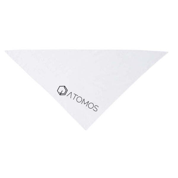 Printed Atomos - USA-Made Doggie Bandana Thumbnail